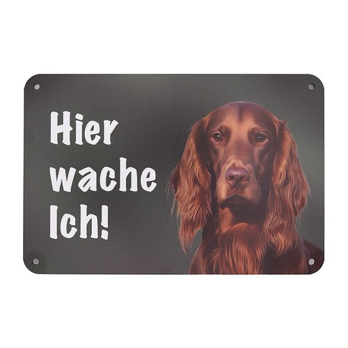 Irish red setter schild hier - irish,